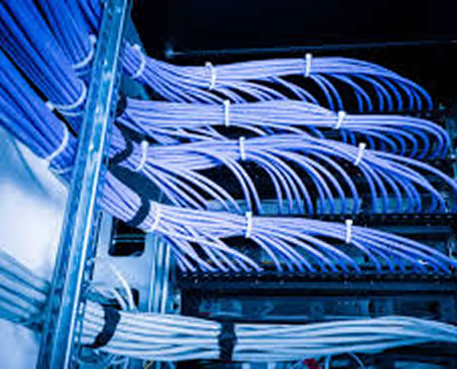 A close-up view of multiple blue network cables organized and secured within a server rack.